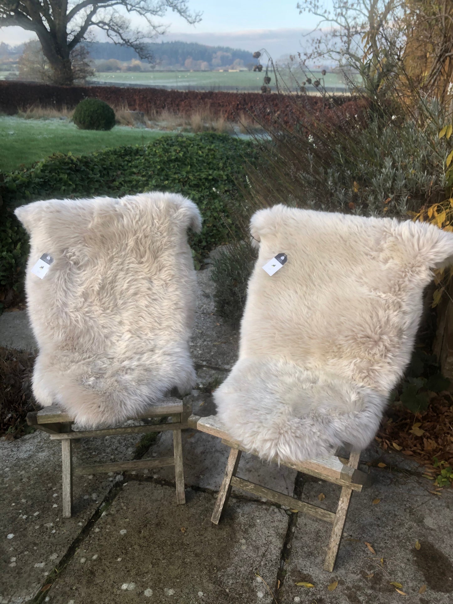 Double Sheepskin Rug - Shaved - Oyster/Off White