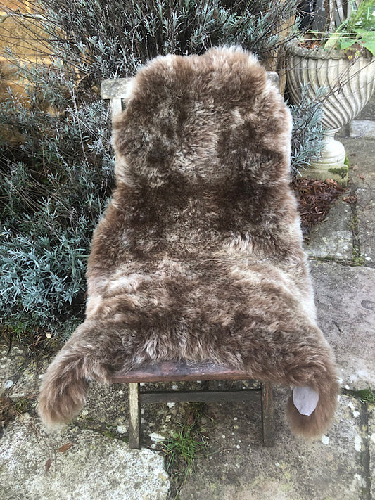 Sheepskin Rug - Shaved - Brown