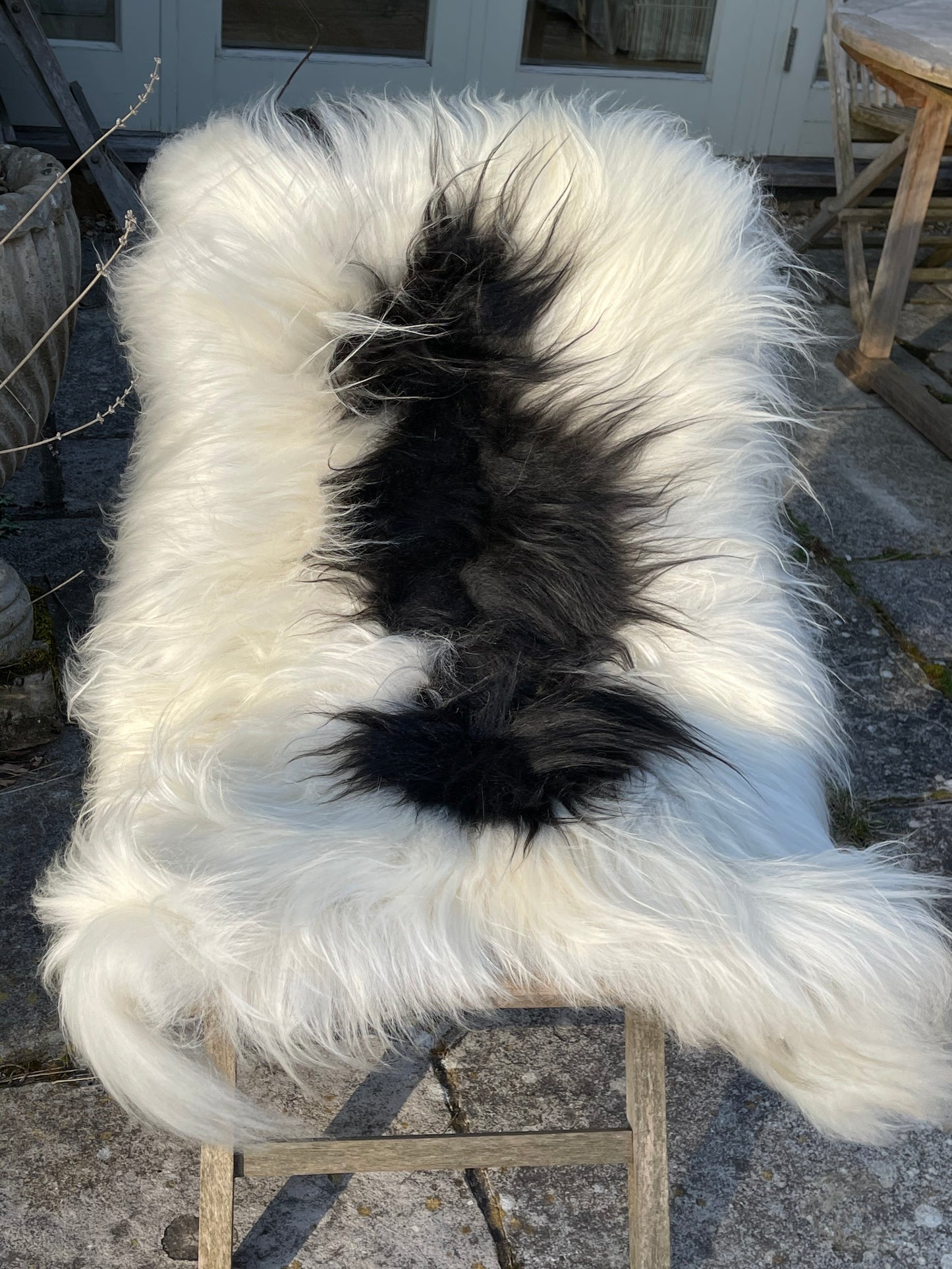 Icelandic Sheepskin Rug - Long Hair - Cream and Black Splodge