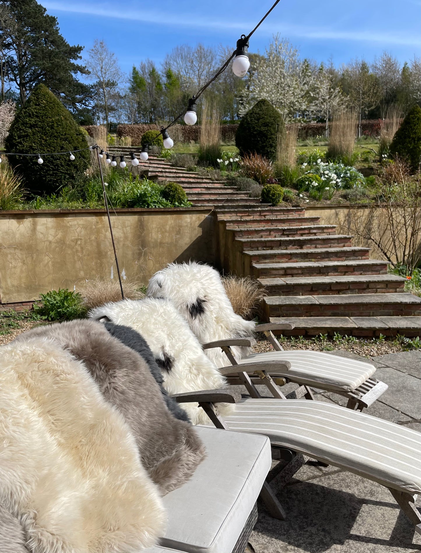 Sheepskin Rug - Shaved - Oyster/Off White